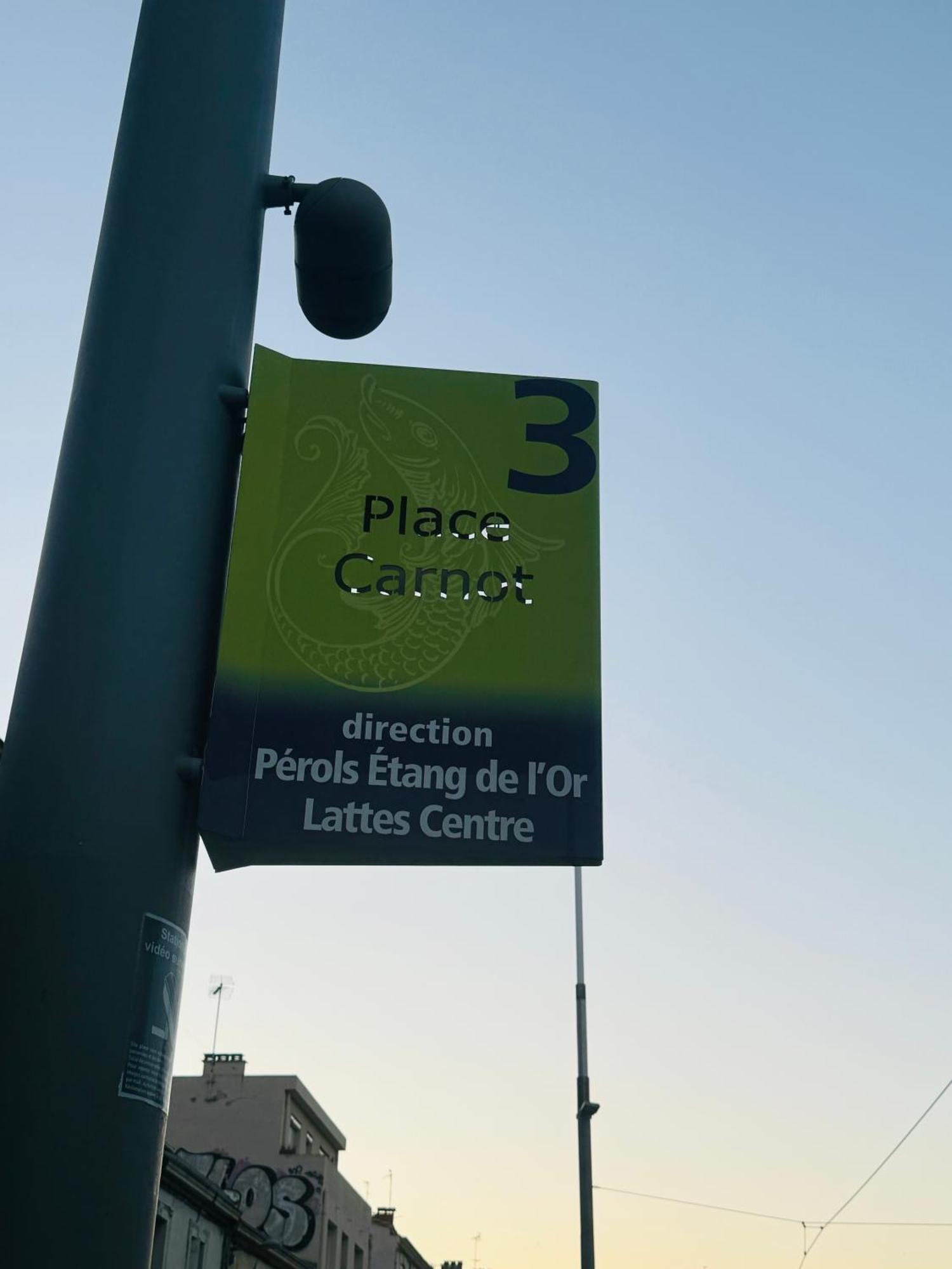 Paradis Calme En Plein Centre Ville 蒙彼利埃 外观 照片